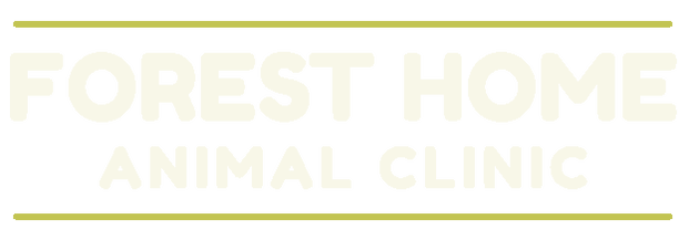 Forest Home Animal Clinic - Home